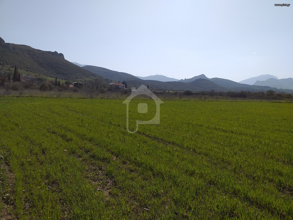 Αγροτεμάχια 7.000 τ.μ. προς πώληση, Άγιος Βλάσιος Χαιρώνειας