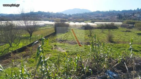 Other 8.000 sqm for sale