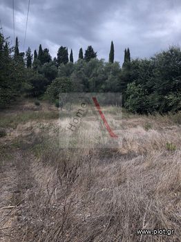 Land plot 2.400 sqm for sale