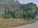 Land plot 3.000 sqm for sale