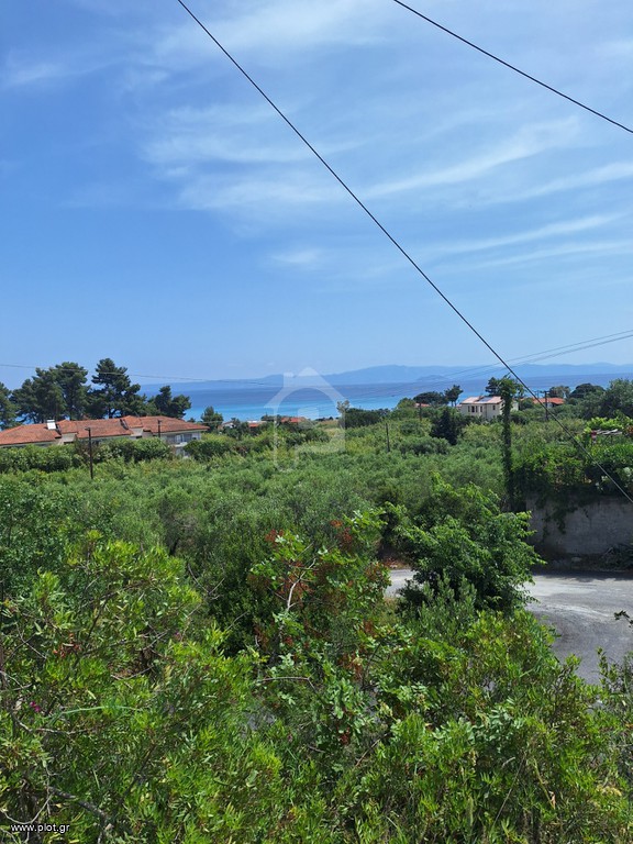 Οικόπεδο 11.000 τ.μ. προς πώληση, Χανιώτης