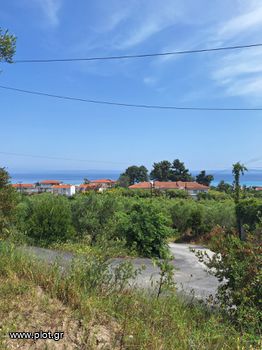 Οικόπεδο 11.000 τ.μ. προς πώληση