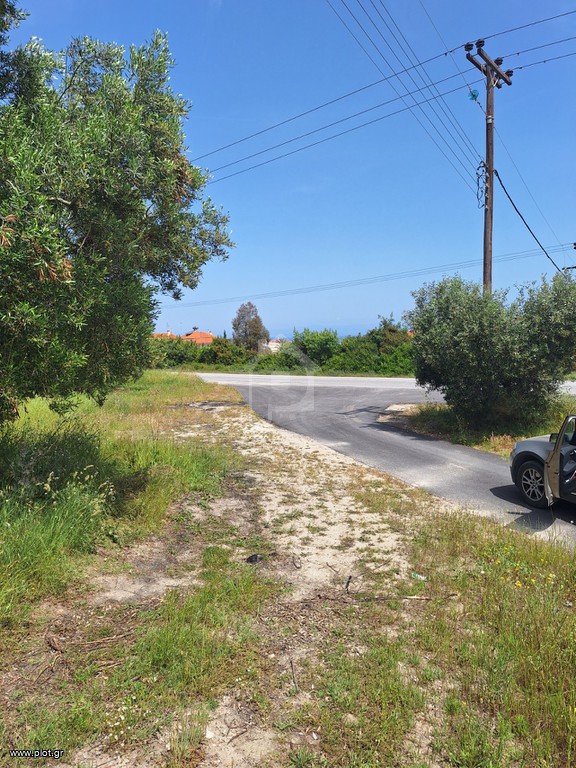 Οικόπεδο 11.000 τ.μ. προς πώληση, Χανιώτης