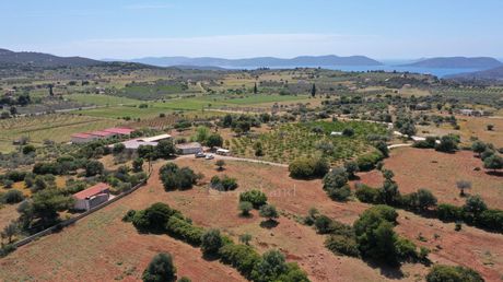 Parcel 9.030sqm for sale-Ermioni » Iliokastro