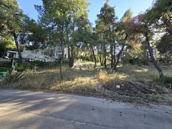 Land plot 500 sqm for sale, Athens - North, Stamata