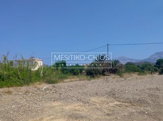 Αγροτεμάχια 516 τ.μ. για πώληση, Ν. Χίου, Χίος-thumb-4