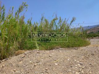 Αγροτεμάχια 516 τ.μ. για πώληση, Ν. Χίου, Χίος-thumb-7
