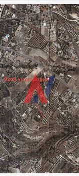 Αγροτεμάχια 1.600 τ.μ. για πώληση