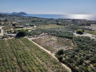 Οικόπεδο 40.292 τ.μ. για πώληση, Μεσσηνία, Νέστορας-thumb-8