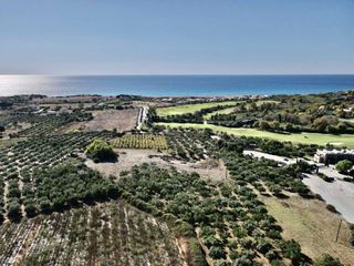 Οικόπεδο 40.292 τ.μ. για πώληση, Μεσσηνία, Νέστορας-thumb-4