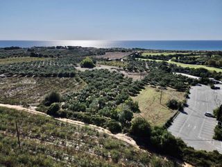 Οικόπεδο 40.292 τ.μ. για πώληση, Μεσσηνία, Νέστορας-thumb-6