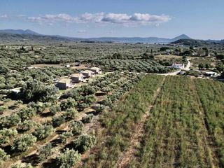 Οικόπεδο 40.292 τ.μ. για πώληση, Μεσσηνία, Νέστορας-thumb-3