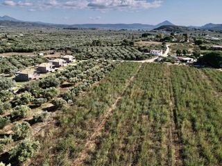 Οικόπεδο 40.292 τ.μ. για πώληση, Μεσσηνία, Νέστορας-thumb-2