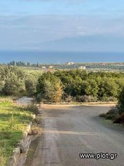 Οικόπεδο 259 τ.μ. για πώληση, Φθιώτιδας, Δαφνούσες-thumb-4