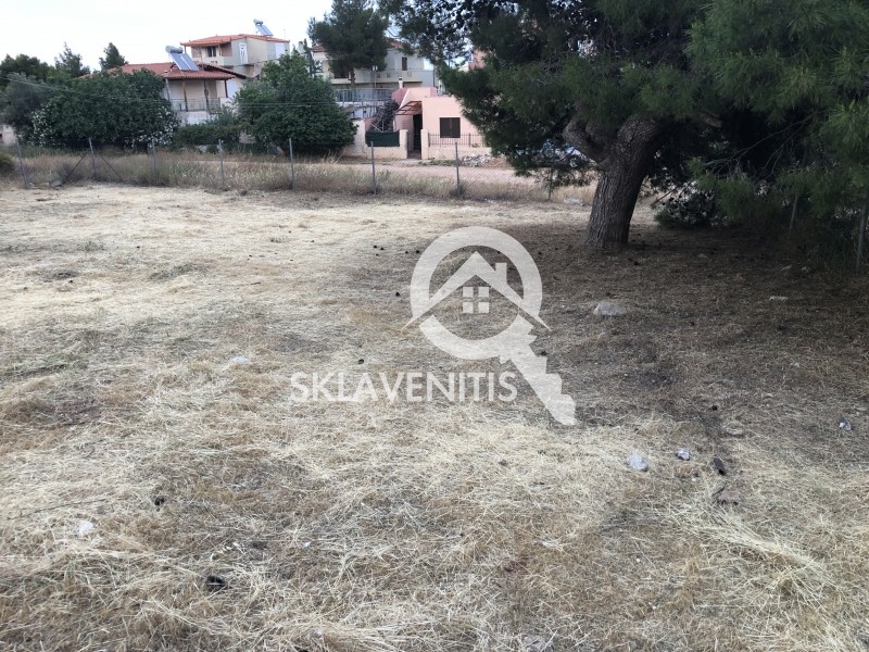 Οικόπεδο 363 τ.μ. πρός πώληση, Αθήνα - Ανατολικά Προάστια, Αρτέμιδα (λούτσα)