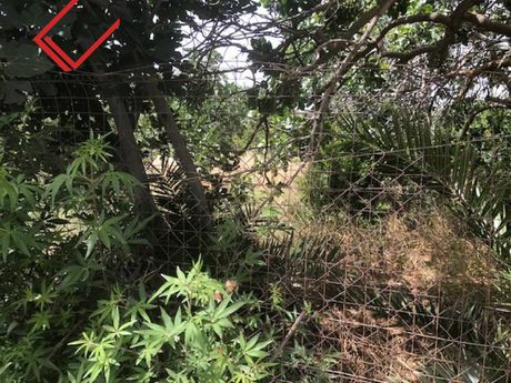 Land plot 697sqm for sale-Koropi » Agios Dimitrios