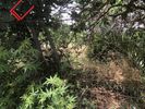 Land plot 697sqm for sale-Koropi » Agios Dimitrios