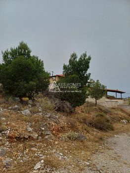 Οικόπεδο 350τ.μ. για πώληση-Σαλαμίνα » Βασιλικά