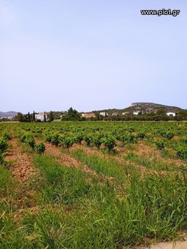 Parcel 6.000sqm for sale-Pikermi