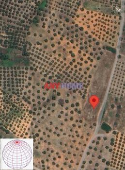 Οικόπεδο 5.000τ.μ. για πώληση-Σιθωνία » Νικήτη