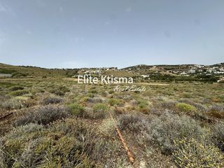 Αγροτεμάχια 4.703 τ.μ. για πώληση