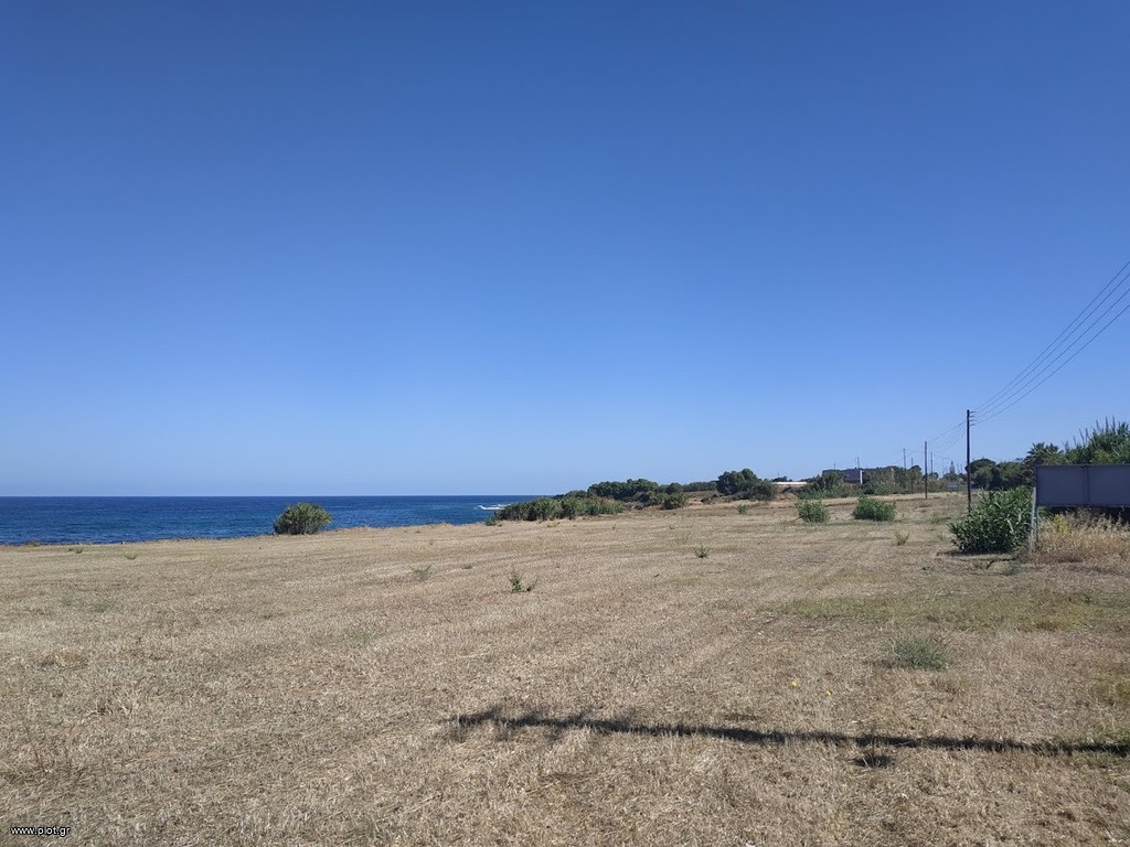Οικόπεδο 11.000 τ.μ. πρός πώληση, Μεσσηνία, Γαργαλιάνοι