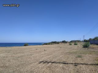 Οικόπεδο 11.000 τ.μ. πρός πώληση, Μεσσηνία, Γαργαλιάνοι-thumb-1