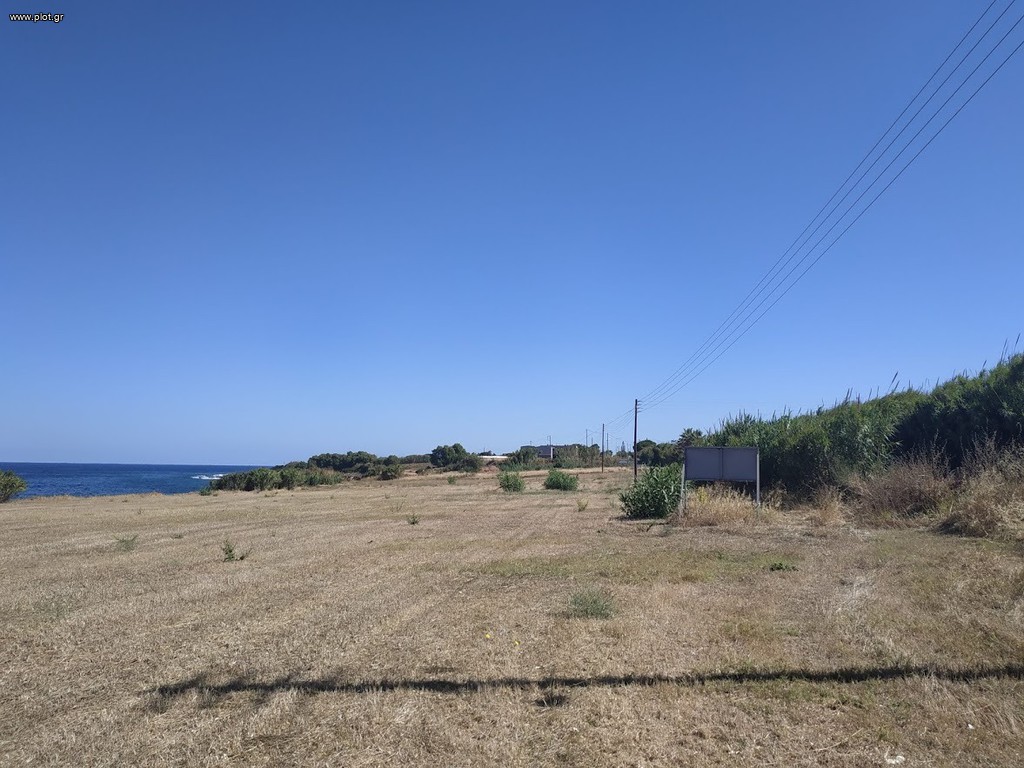 Οικόπεδο 11.000 τ.μ. πρός πώληση, Μεσσηνία, Γαργαλιάνοι