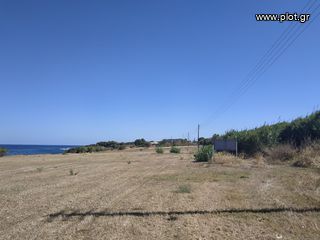 Οικόπεδο 11.000 τ.μ. πρός πώληση, Μεσσηνία, Γαργαλιάνοι-thumb-2