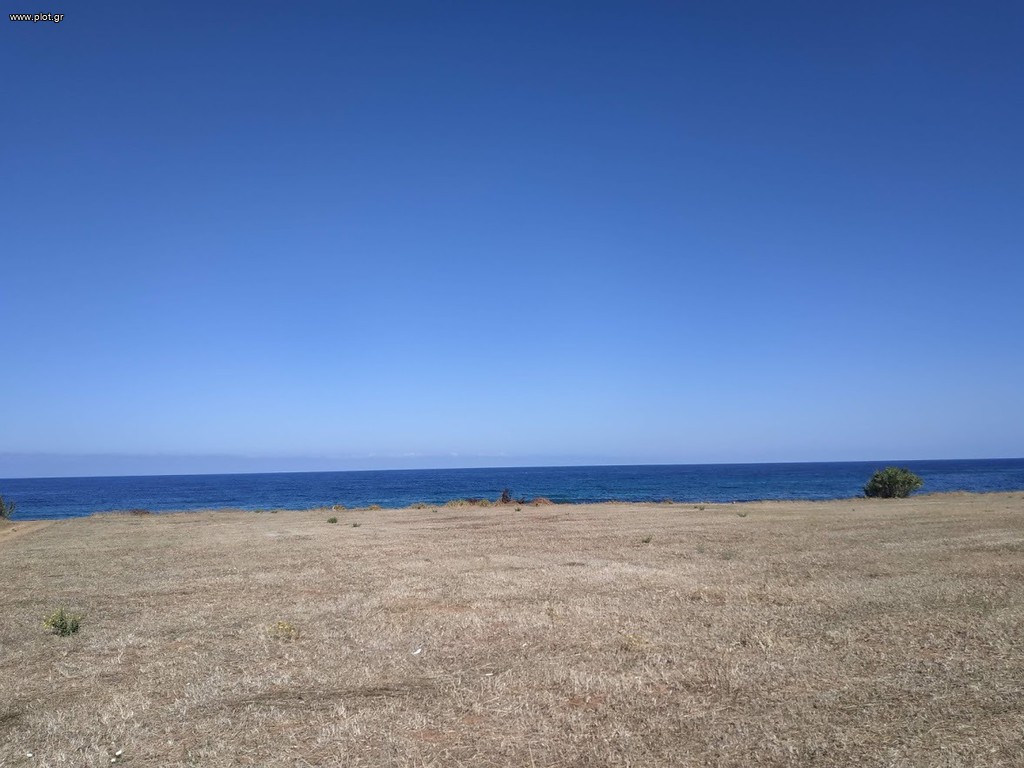 Οικόπεδο 11.000 τ.μ. πρός πώληση, Μεσσηνία, Γαργαλιάνοι