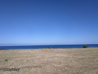 Οικόπεδο 11.000 τ.μ. πρός πώληση, Μεσσηνία, Γαργαλιάνοι-thumb-3