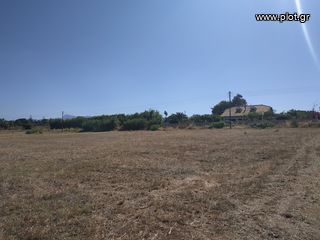 Οικόπεδο 11.000 τ.μ. πρός πώληση, Μεσσηνία, Γαργαλιάνοι-thumb-5