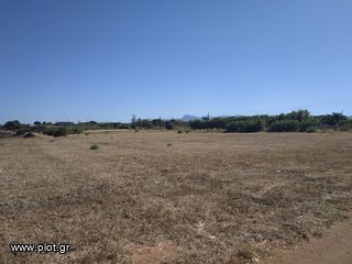 Οικόπεδο 11.000 τ.μ. πρός πώληση, Μεσσηνία, Γαργαλιάνοι-thumb-6
