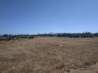 Οικόπεδο 11.000 τ.μ. πρός πώληση, Μεσσηνία, Γαργαλιάνοι-thumb-7
