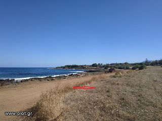 Οικόπεδο 11.000 τ.μ. πρός πώληση, Μεσσηνία, Γαργαλιάνοι-thumb-9