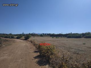 Οικόπεδο 11.000 τ.μ. πρός πώληση, Μεσσηνία, Γαργαλιάνοι-thumb-15