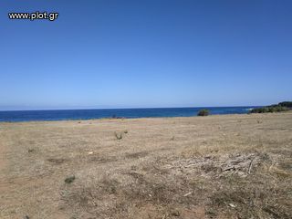 Οικόπεδο 11.000 τ.μ. πρός πώληση, Μεσσηνία, Γαργαλιάνοι-thumb-16