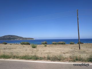 Οικόπεδο 11.000 τ.μ. πρός πώληση, Μεσσηνία, Γαργαλιάνοι-thumb-18