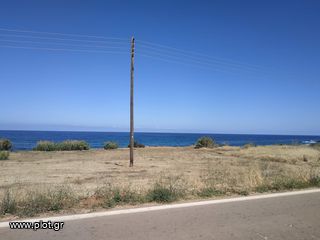 Οικόπεδο 11.000 τ.μ. πρός πώληση, Μεσσηνία, Γαργαλιάνοι-thumb-19