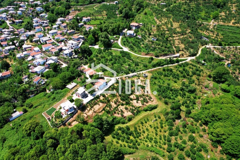 Αγροτεμάχια 5.050 τ.μ. πρός πώληση, Μαγνησία, Ζαγορά