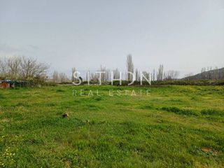 Αγροτεμάχια 8.322 τ.μ. για πώληση