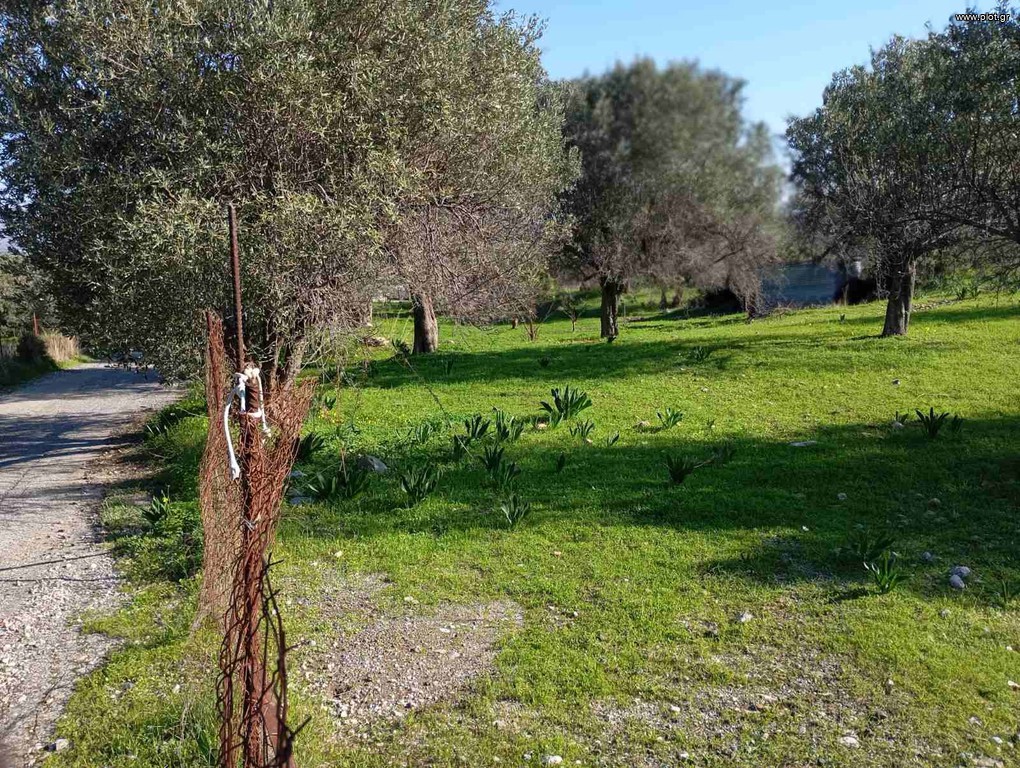 Οικόπεδο 1.787 τ.μ. προς πώληση, Δωδεκάνησα, Ρόδος