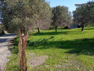 Οικόπεδο 1.787 τ.μ. για πώληση, Δωδεκάνησα, Ρόδος-thumb-2