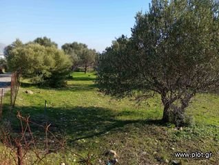 Οικόπεδο 1.787 τ.μ. για πώληση, Δωδεκάνησα, Ρόδος-thumb-3