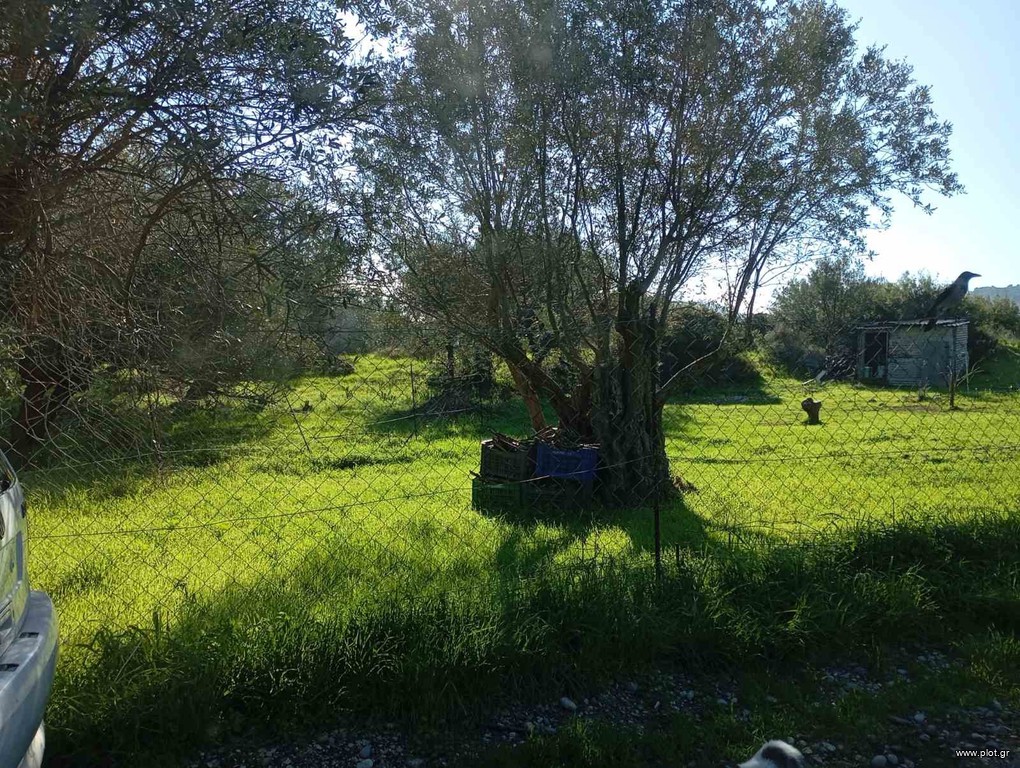 Οικόπεδο 1.787 τ.μ. προς πώληση, Δωδεκάνησα, Ρόδος