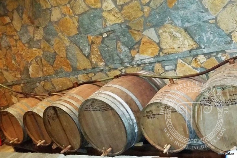Μονοκατοικία 450 τ.μ. πρός πώληση, Θεσσαλονίκη - Περιφ/Κοί Δήμοι, Θερμαϊκός