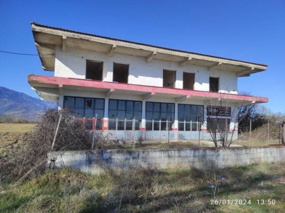 Building 250 sqm for sale, Trikala Prefecture, Kallidendro