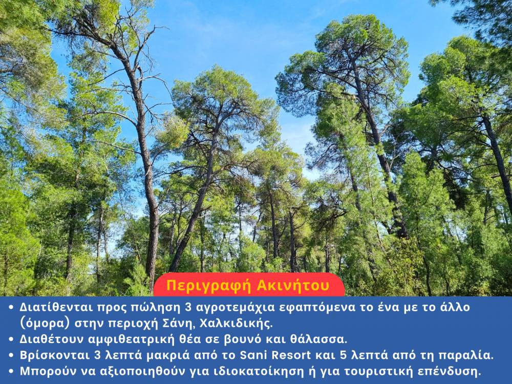 Αγροτεμάχια 14.000 τ.μ. προς πώληση, Σταυρός Κασσάνδρας