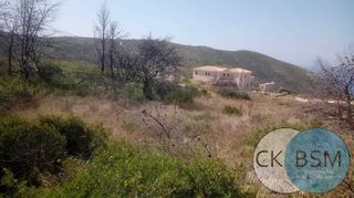 Οικόπεδο 3.550 τ.μ. για πώληση, Ζάκυνθος, Ελάτιο-thumb-7