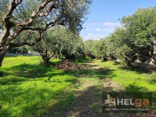 Οικόπεδο 1.480 τ.μ. για πώληση